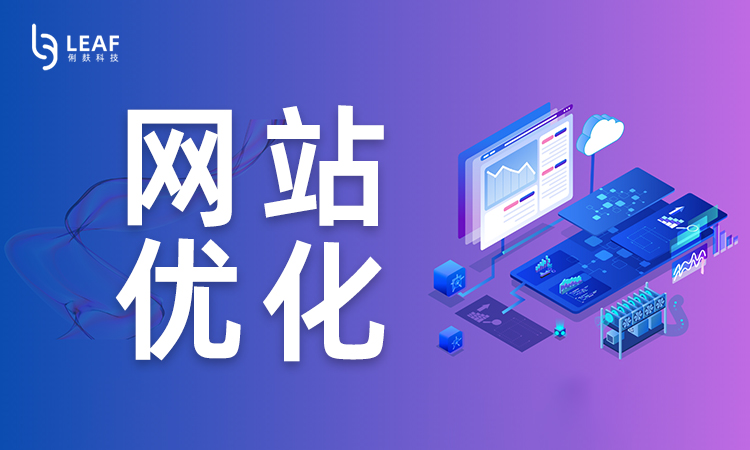 俐麸网站优化.jpg